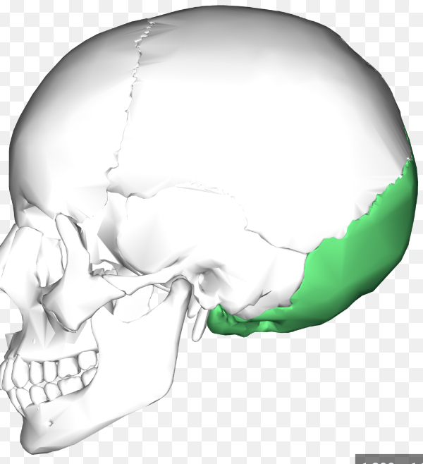 what is the green 