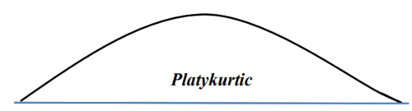<p>• The scores are more evenly spread out</p><p>• Greater proportion of the scores fall toward the ends, or tails</p>