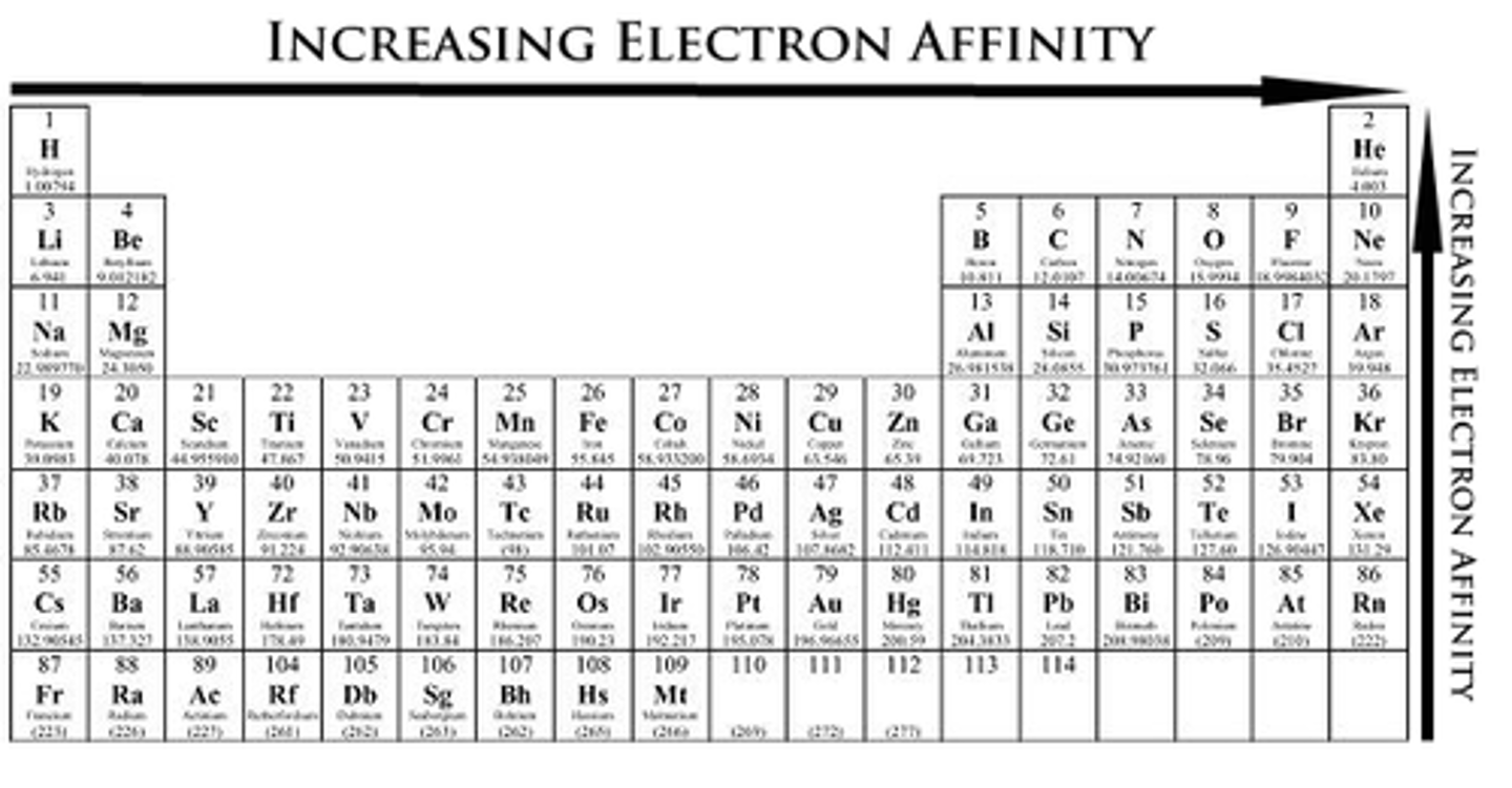 <p>increases from lower left to upper right (value becomes more negative, but magnitude increases)</p><p>1. down a group, more rings means less energy released</p><p>2. across a period, more protons means more energy released</p><p>defined as energy change when adding an electron to valence shell in gas state</p><p>high electron affinity means high reduction potential</p>