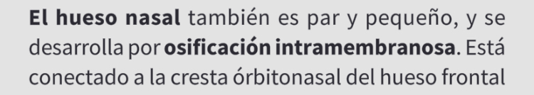 <p>Hueso nasal (par)</p>