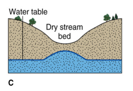 <p>Dry stream bed</p>