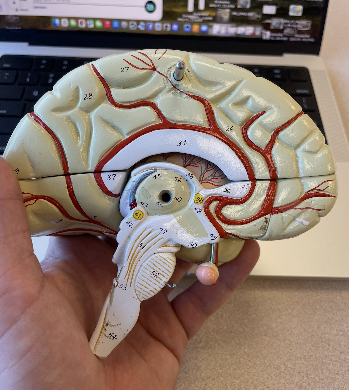 <p>floating pink bulb</p>