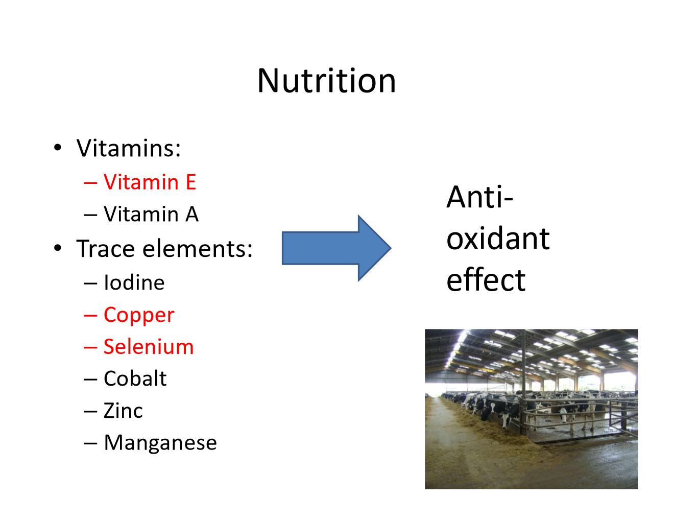 <p>Because of their antioxidant effect! (except for the ones in red, still important tho!)</p>