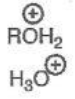 <p>Hydronium/Oxonium Ion</p>