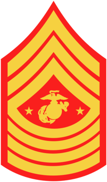 <p>Three stripes over marine corp emblem centered between two five pointed stars over four rockers</p>