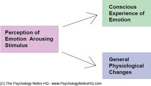 <p>Physiological arousal and emotional experience occur simultaneously, yet independently. </p>