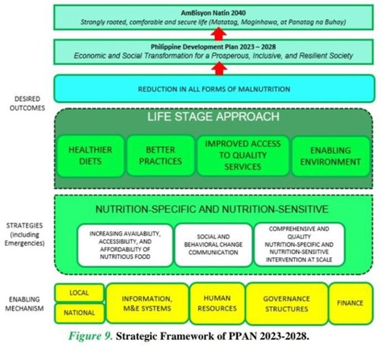 <p>Philippine Plan of Action for Nutrition.</p>