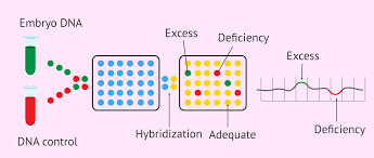 <p>compares sample DNA to known reference DNA, used to identify deletions and duplications </p>