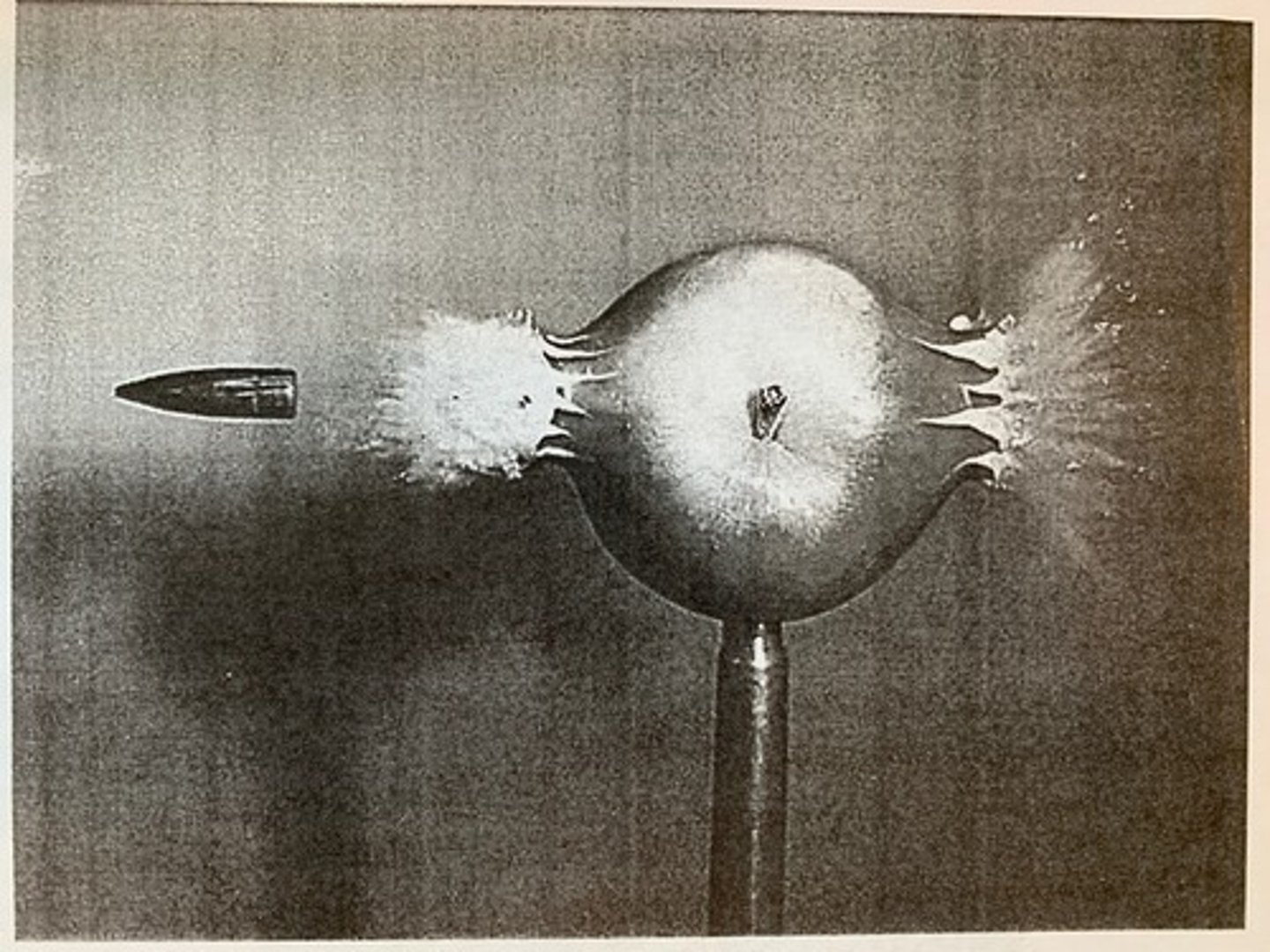 <p>Apple Shot with Bullet traveling @ 900 M/S</p>
