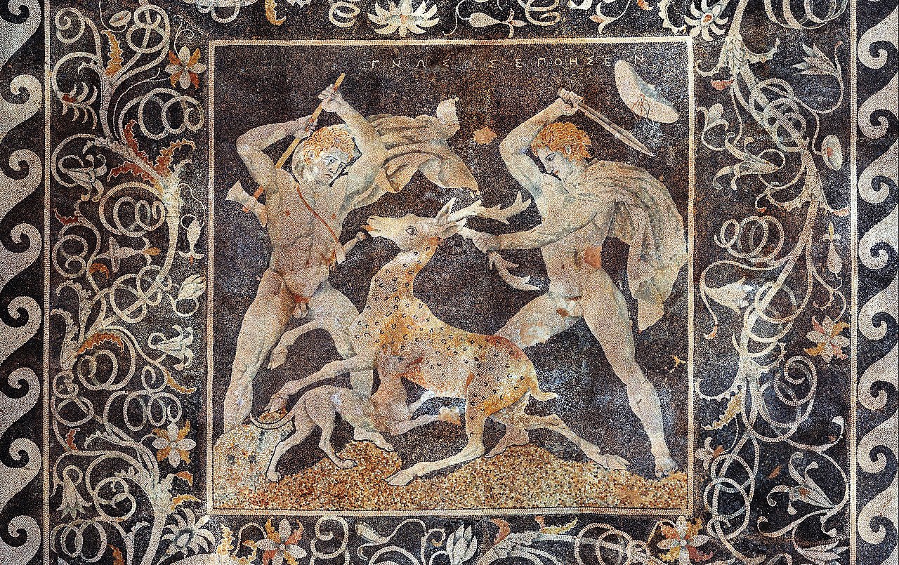 term image
