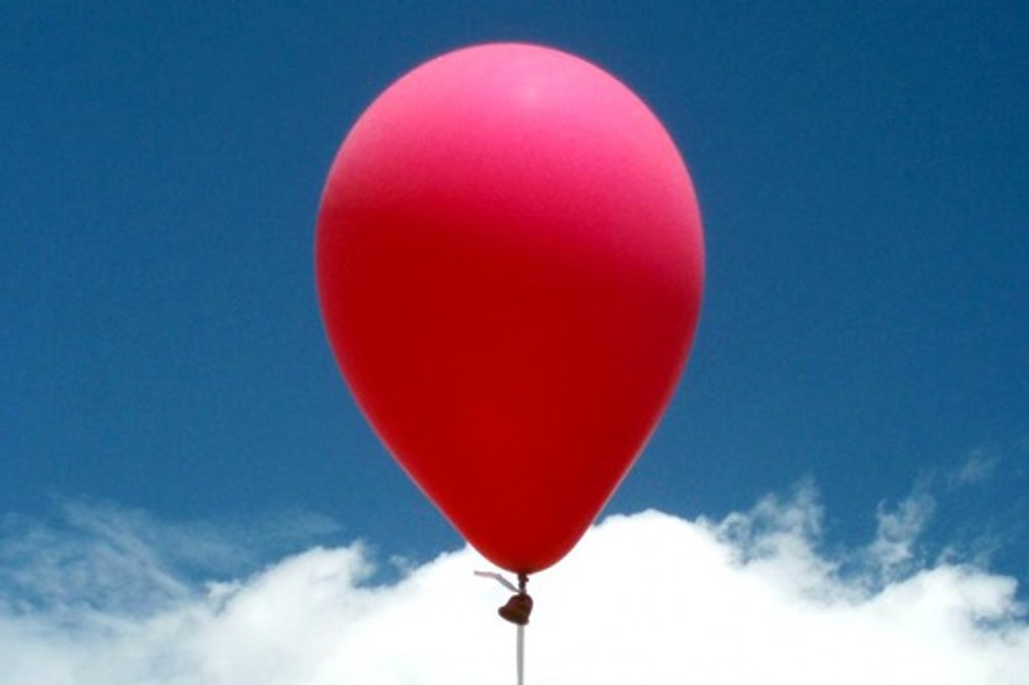 <p>balloon (s)</p>
