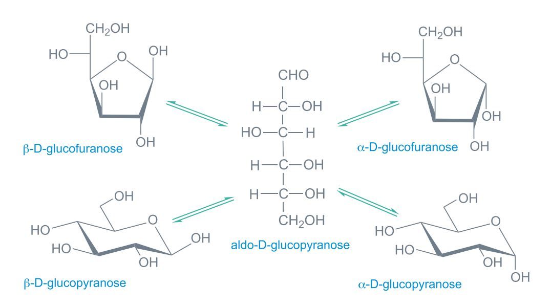 <p>It varies, though in most examples they usually are arranged in rings or have long carbon backbones. Some polysaccharides also like to “hold hands“ (hydroxyl (O-H) bonds) or have double bonds (carbonyl (C=O) groups).</p>