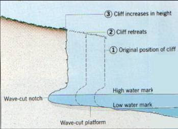 <ul><li><p>Weathering weakens the rock and abrasion by shingles/hydraulic action weakens the base [1]</p></li><li><p>The rock breaks away and collects at the base of the cliff [1]</p></li><li><p>The cliff has a wave-cut notch [1]</p></li><li><p>The overhang is unsupported and falls onto the beach [1]</p></li><li><p>The cliff retreats backwards and increases in height [1]</p></li><li><p>The former base is a wave-cut platform which is continuously smoothed by shingle grinding over it. Algae can form over it. [1]</p></li></ul><p></p>