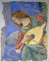 term image