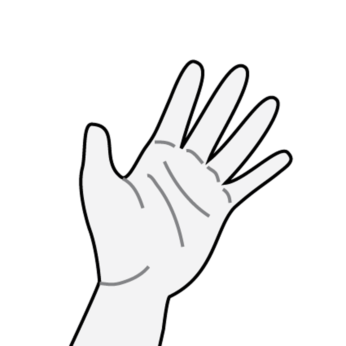<p>the hand</p>