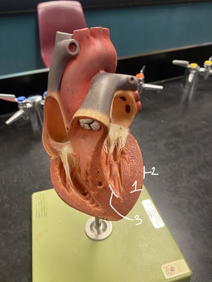 <p>define layer 3</p>