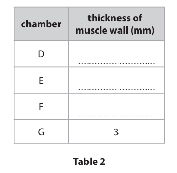 <p>A scientist measured the thickness of the muscle wall of each of the four heart chambers, D, E, F and G, shown in Figure 3.&nbsp;</p><p>The measurements were: </p><p>8 mm 16 mm 3 mm 3 mm</p><p>Complete Table 2 for chambers D, E and F. Chamber G has been completed for you. (3)</p>