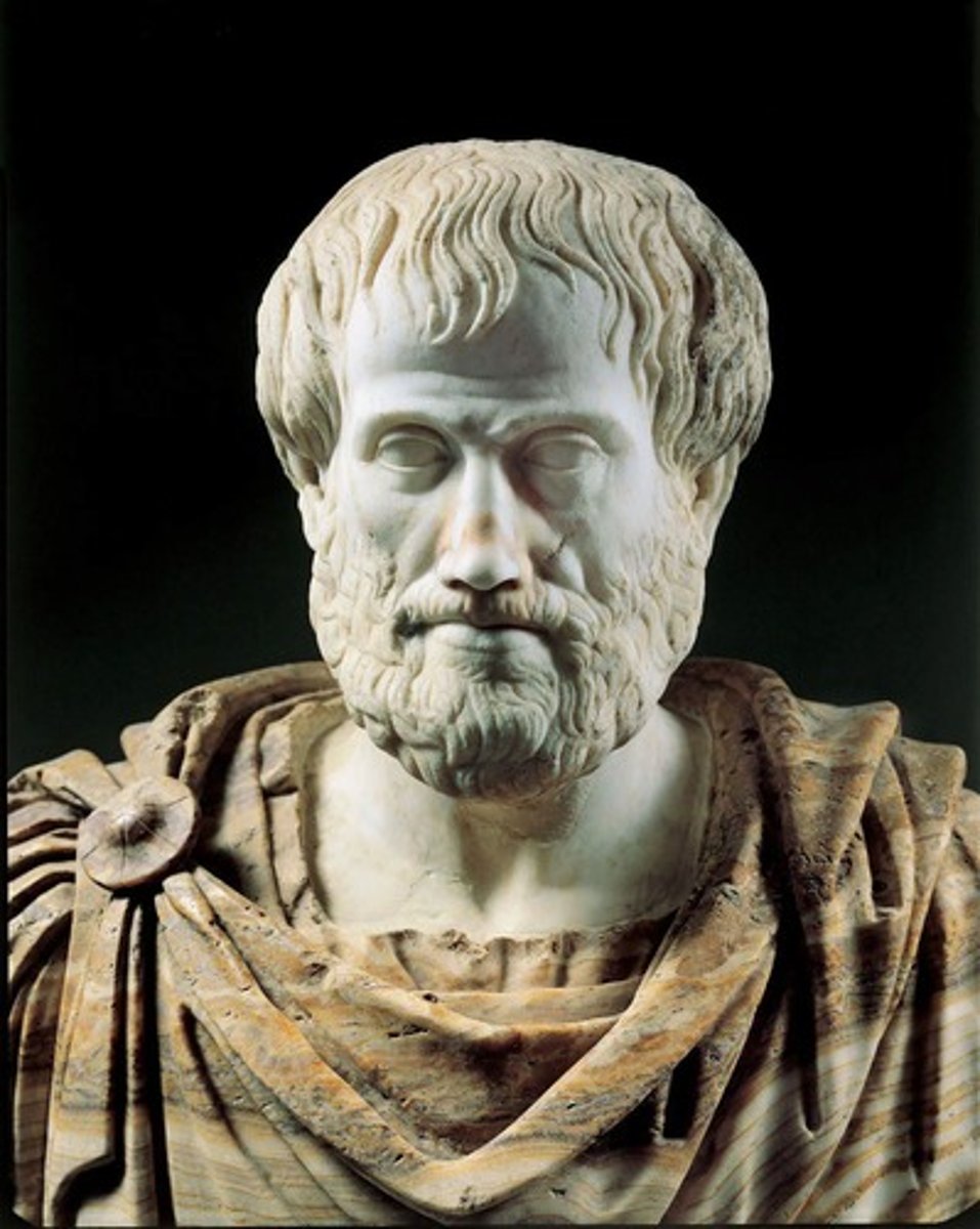 <p>A Greek philosopher who lived from 384-322 BCE, influential in various disciplines including logic, metaphysics, and ethics.</p>