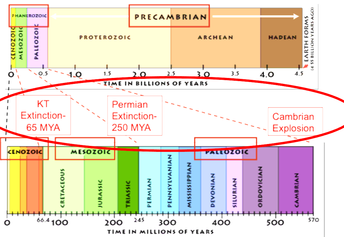 <p>Which way do you read a geologic record table</p>