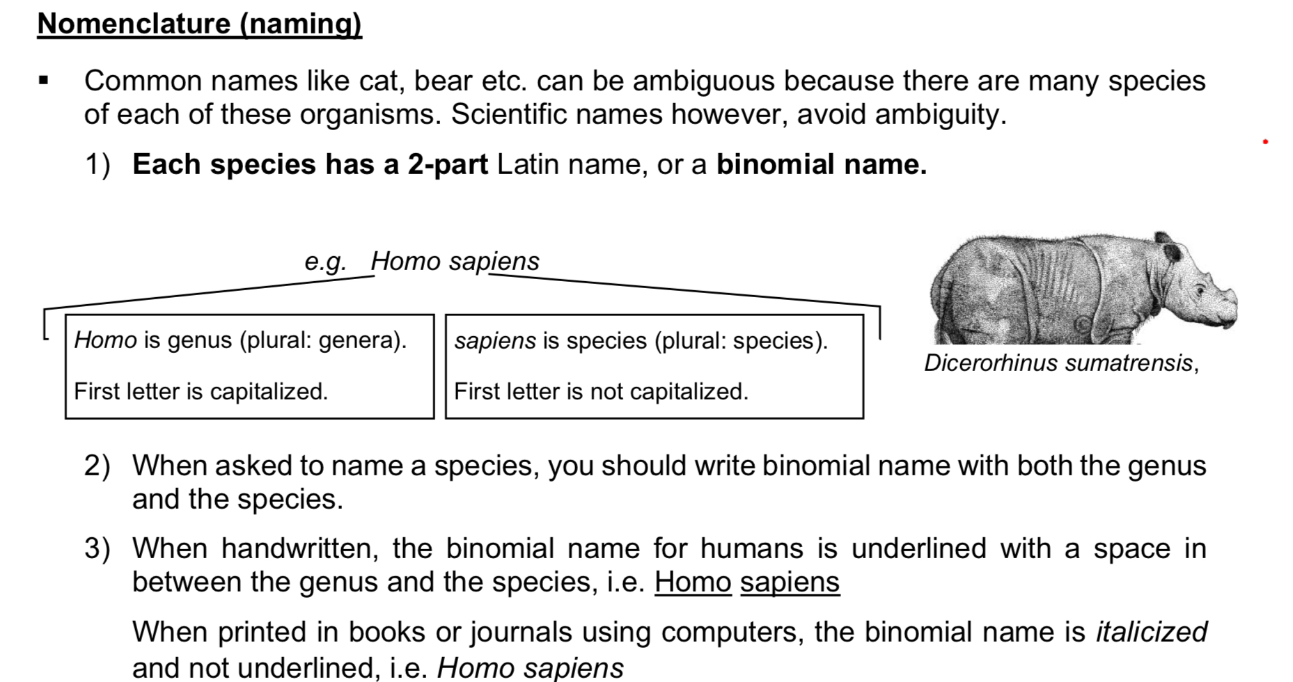 <p>Features</p><p>→ hierarchical: species that are related are grouped into the same genus, which in turn is grouped into a more inclusive, larger category of family, and so on</p><p>→ binomial nomenclature: 2-part name, genus name followed by species name</p><p>Advantages</p><p>→ hierarchical classification is a systematic way of grouping organisms, so a newly discovered species can easily be categorised and named</p><p>→ binomial nomenclature provides accurate identity to each species, and far more precise than using its common name</p><p>Disadvantages</p><p>→ based on Linnaean classification, we cannot infer the evolutionary relationships between members of each category. we also cannot tell how distantly related one species is to another, and the name does not tell us the evolutionary history of the species</p>