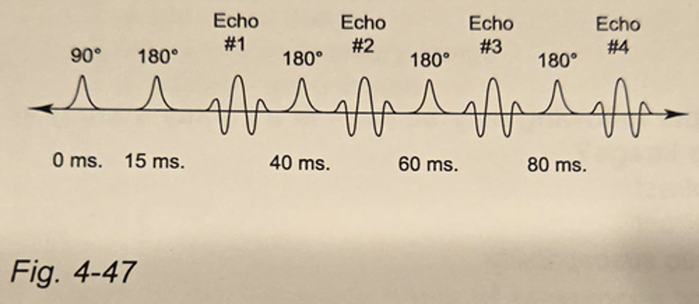 <p>4</p><p>3 multiple choice options</p>