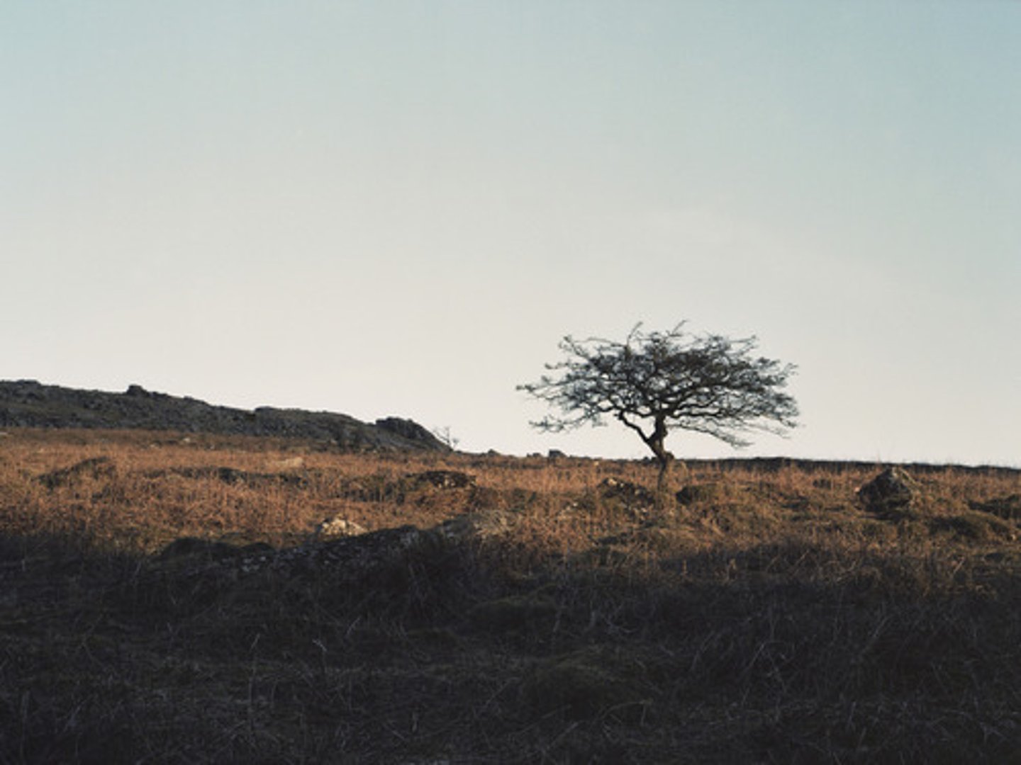 <p>(ADJ OR VERB) Empty, bleak, and lifeless; often depressing.</p><p></p>