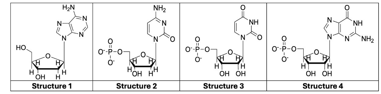 <p>identify nucleoside vs nucleotides / DNA vs RNA / purine vs pyrimidine</p>