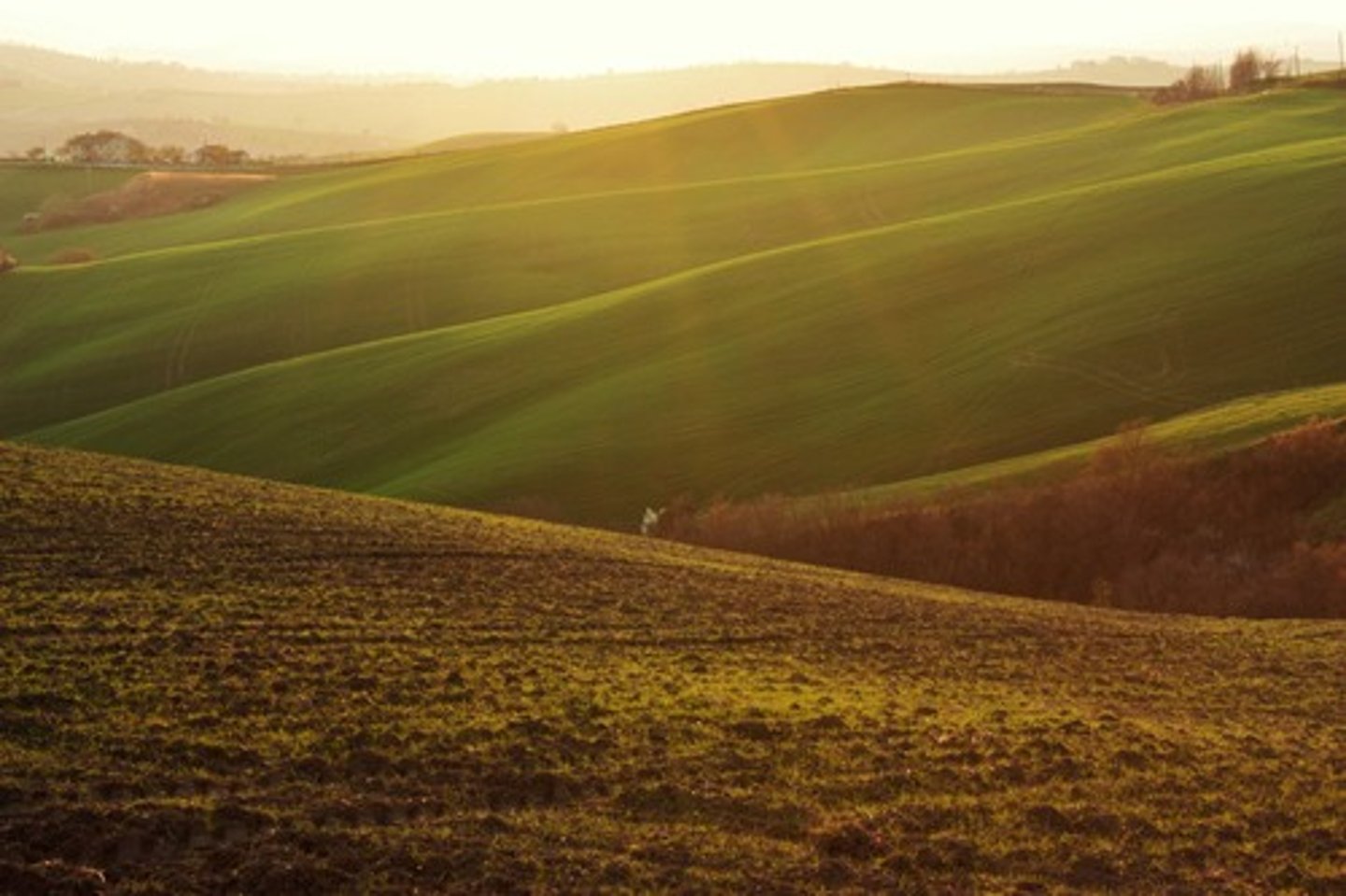 <p>Eu vou para o campo (plano ou intenção já existente.)</p>