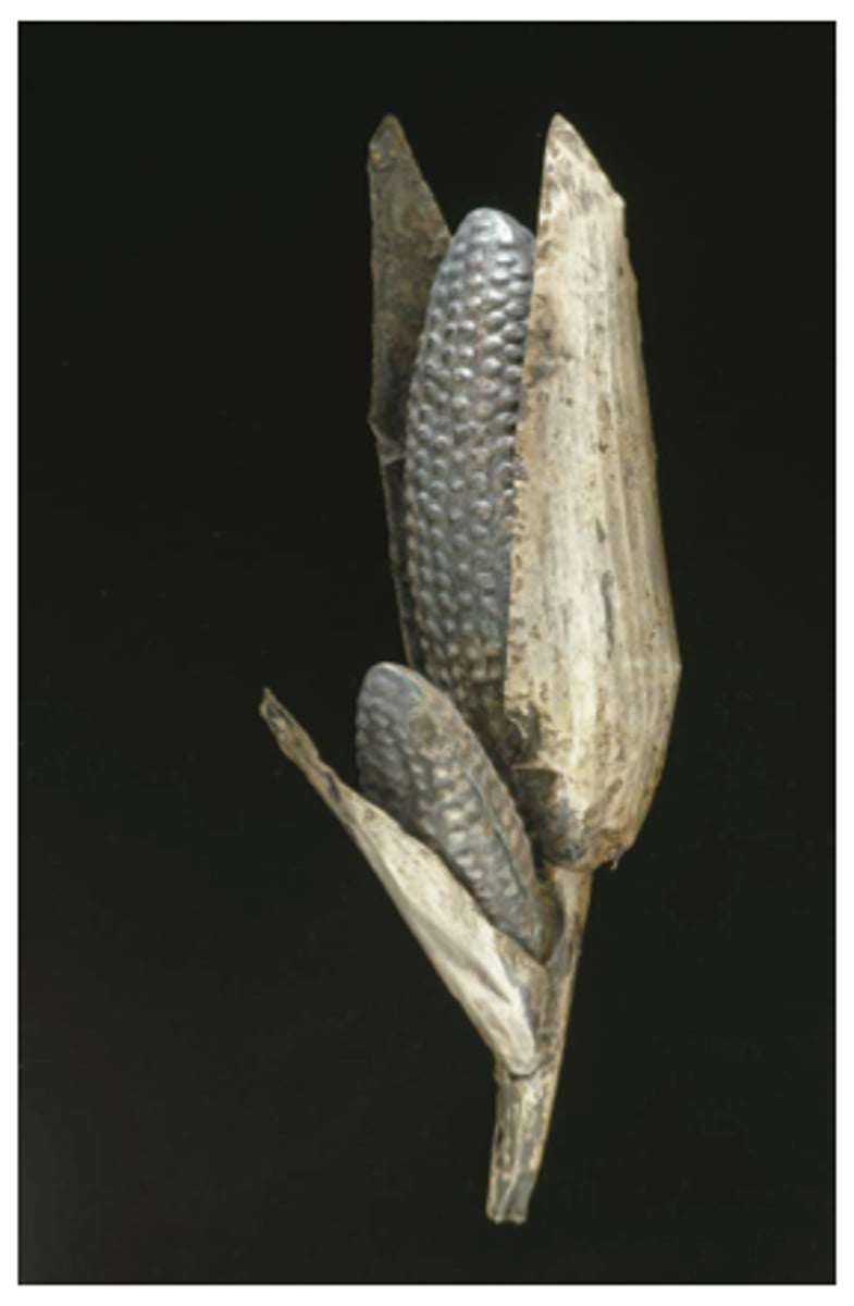 <p>Inka</p><p>c. 1440-1533 CE</p><p>Form: Steel metal and repousse Metal alloys</p><p>Function: Depicts the primary food source for the Inka, and was created to help ensure a successful harvest</p><p>Spanish conquistadors also removed the gold miniatures from the interior courtyard, such as this gold and silver maize cob. Maize was the primary food source for the Inka. When the Spanish Conquistadors arrived at Qorikancha in 1532, they took the gold adornments from the temple and later converted the structure into what is now the convent of Santo Domingo.</p>