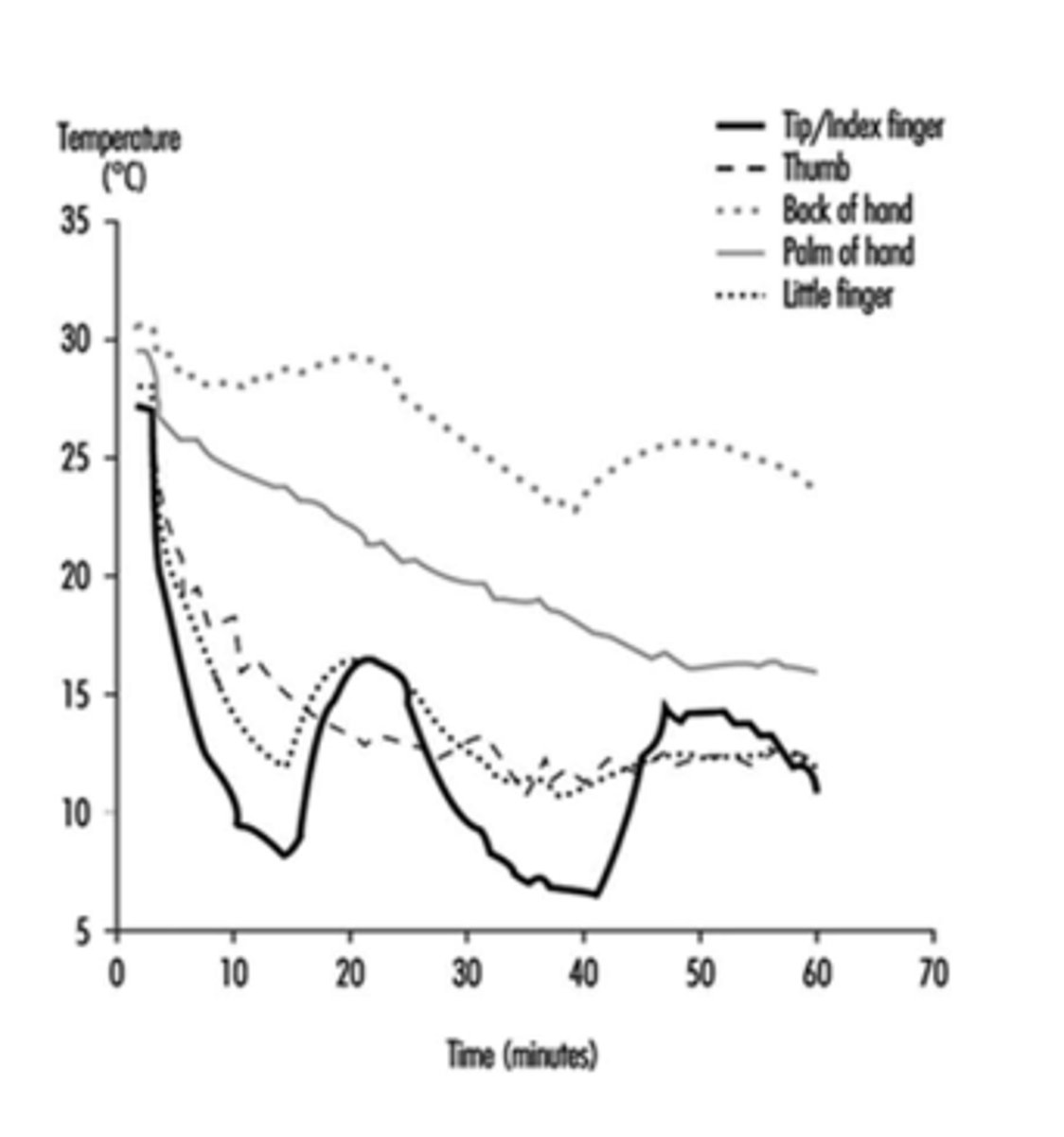 <p>Alternating vasoconstriction followed by vasodilation.</p>