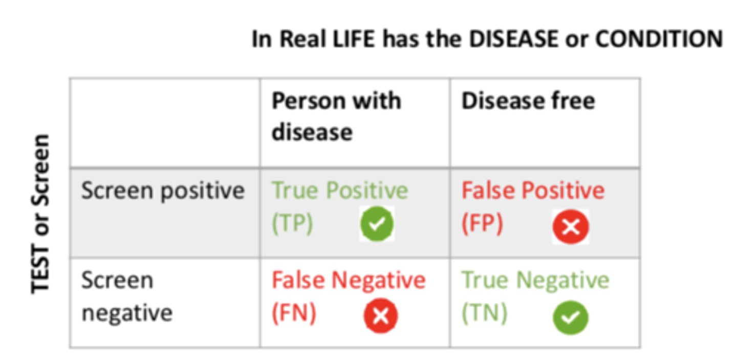 <p>TRUE negative (TN)</p>
