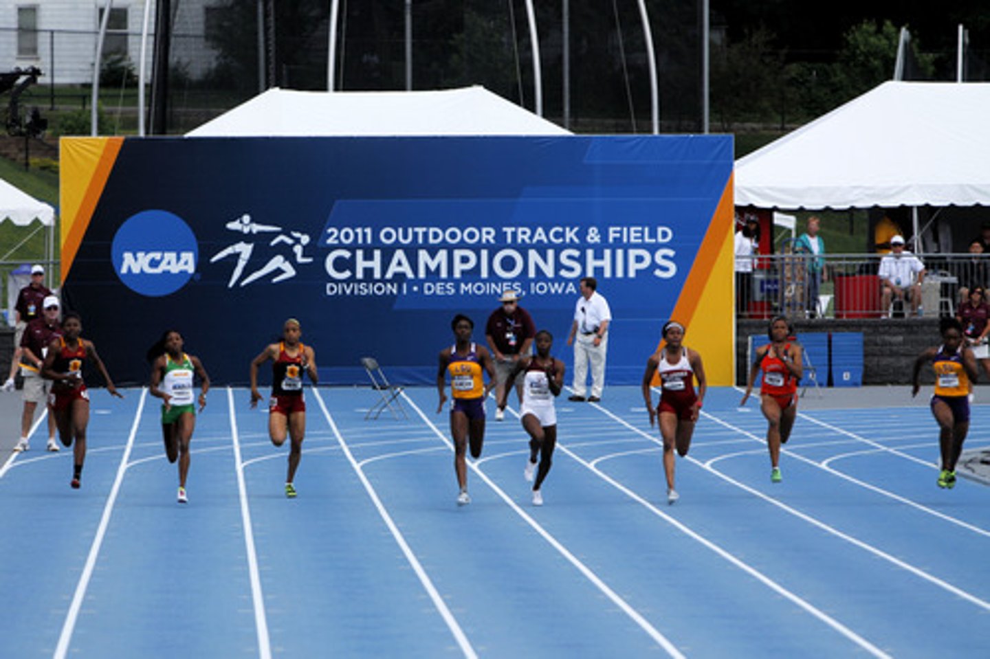 <p>(athletic) track</p>