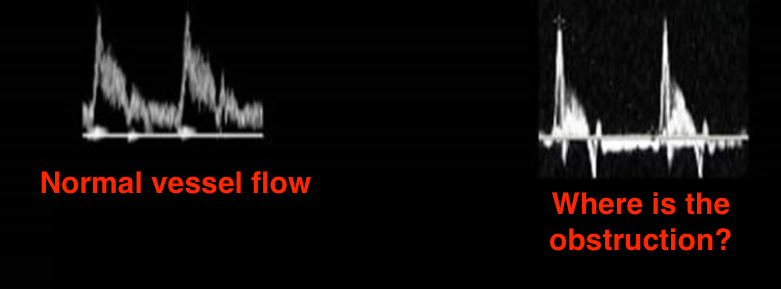<p>Identify this image. </p>