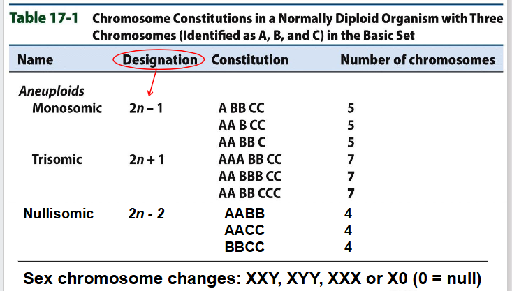 <p>- number of chromosomes is altered (one or more individual chr added or deleted)</p><p>- Monosomic: 2n-1</p><p>- Trisomic: 2n+1</p><p>- Nullisomic: 2n-2</p><p>- Sex Chromosome Changes: XXY, XYY, XXX or X0 (0=null)</p>