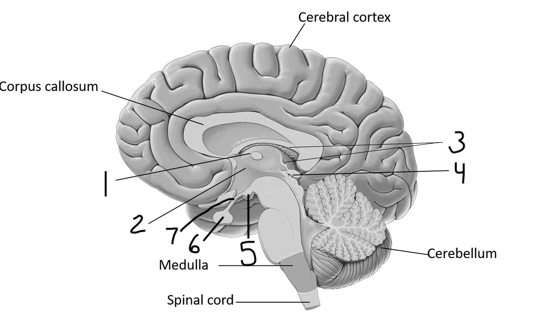 <p>1</p>