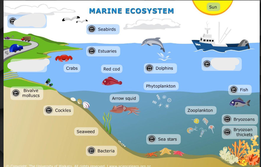 <p>Name the three thigs that are not there. (start from top left and go down then to the right)</p>