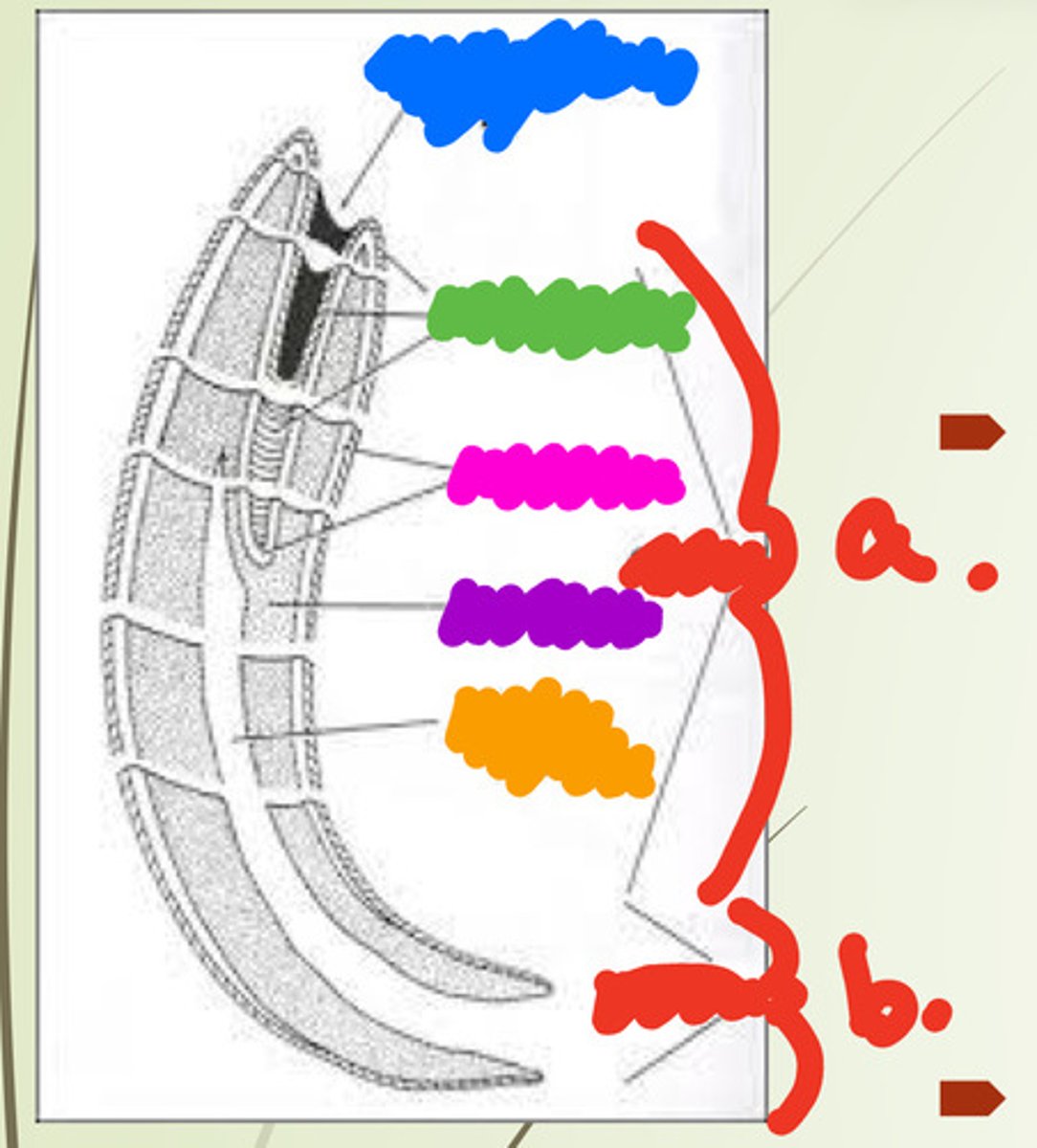 <p>What is the blue?</p>