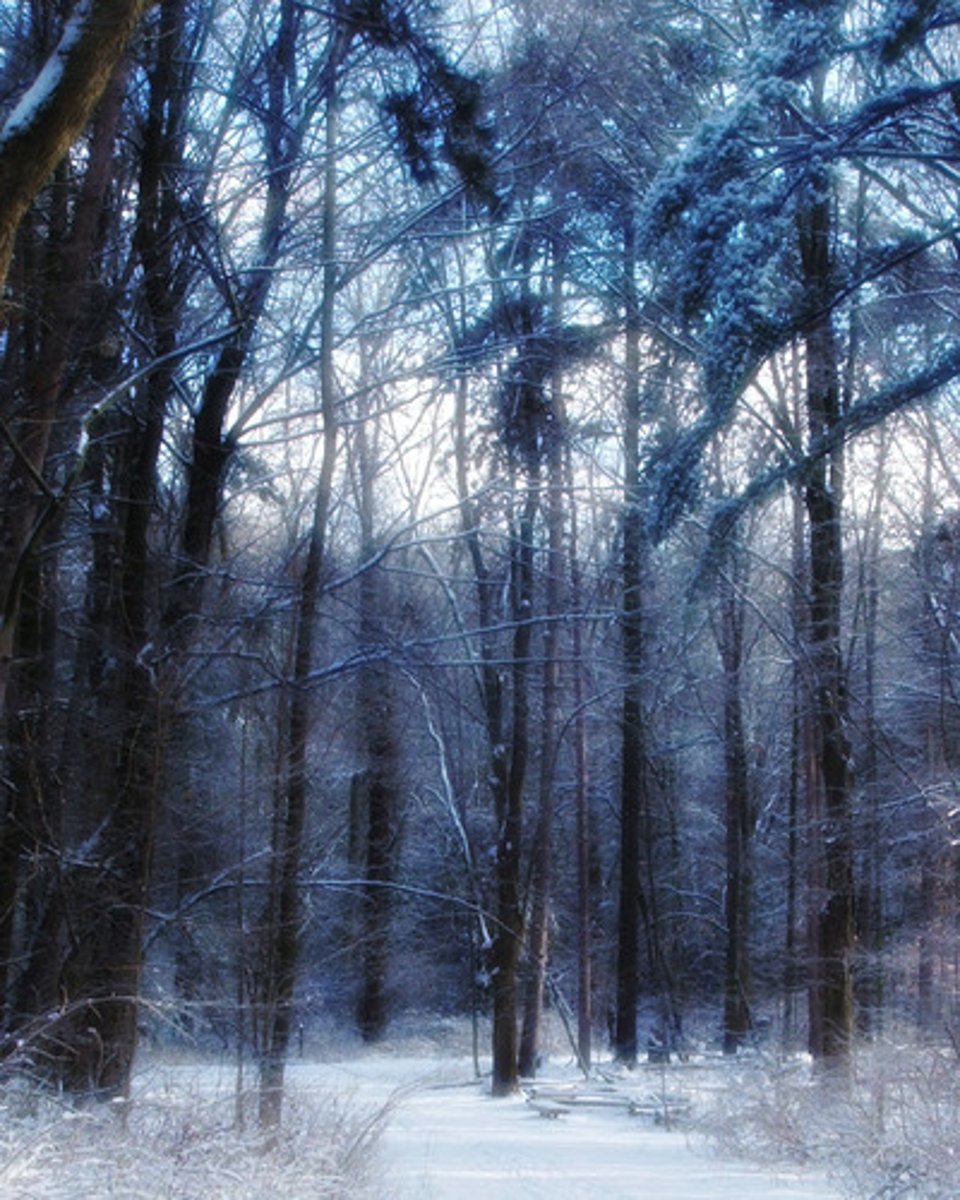 <p>January</p>