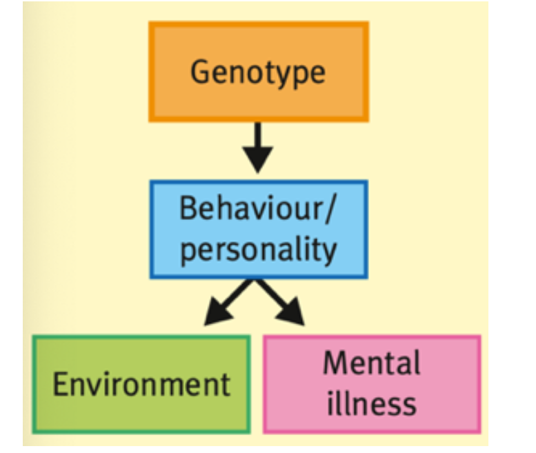 the association between $$one’s genetic tendencies and the environments that one selects.$$ In this case, the relationship between the environment and psychiatric illness is confounded by an @@individual’s genotype@@, which: 

* Influences his/her behaviour or personality and in turn; 
* Brings about specific environments. \n 

→  looking for environments that reinforce your trait 

→ individuals who are characteristically extroverted may seek out ‘extravert’ social environments. 

GENETICS → ENVIRONMENTAL PREFERENCES → ENVIRONMENTAL SELECTION