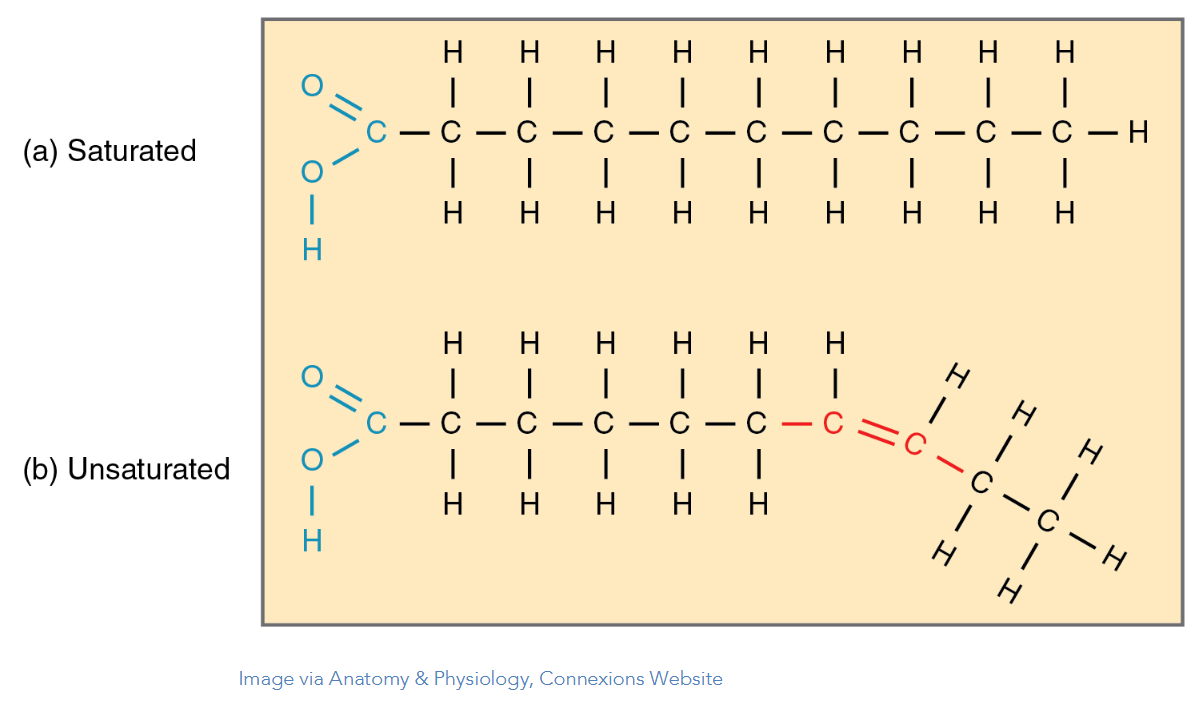 <p>Saturated = No Alkenes, Unsaturated = Alkenes</p><p>The warmer something is the less alkene(saturated)it is, the colder something is, the more alkenes it has (unsaturated).</p>