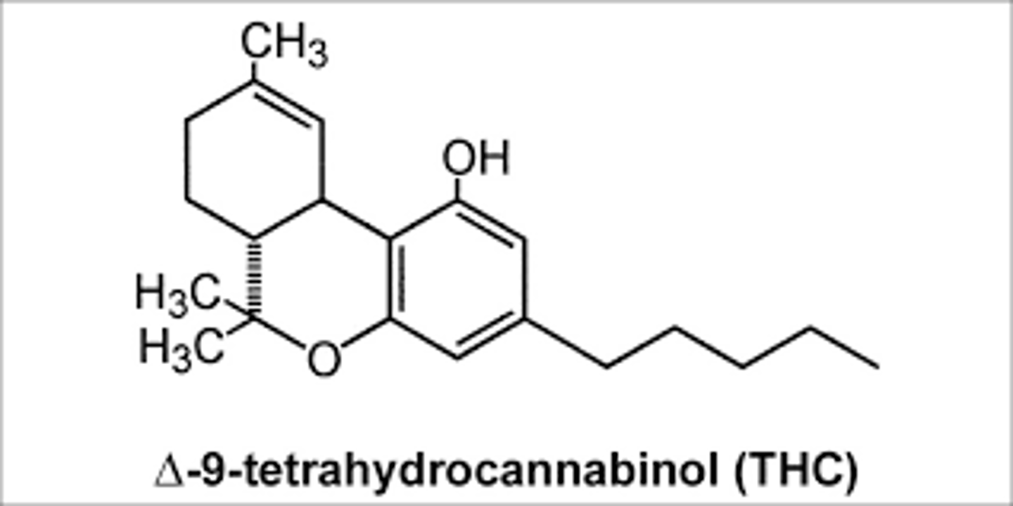 <p>(C) Depressant and hallucinogen</p><p>THC both increases perceptual sensitivity (hallucinogen) and inhibits the CNS (depressant)</p>