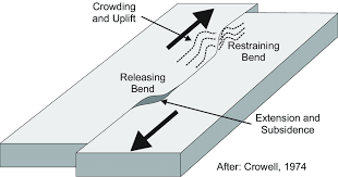 <p>compressional structures in restraining belts and extensional structures in releasing bends </p>
