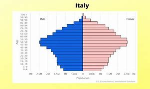 <p>What type of population pyramid is this?</p><p></p>