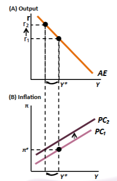 <ul><li><p>to keep inflation at expected inflation, output must fall</p></li><li><p>respond to the adverse supply shock by raising the real interest rate</p></li><li><p>this reduces output which offsets shift in PC, keeping inflation at expected level</p></li></ul><p></p>