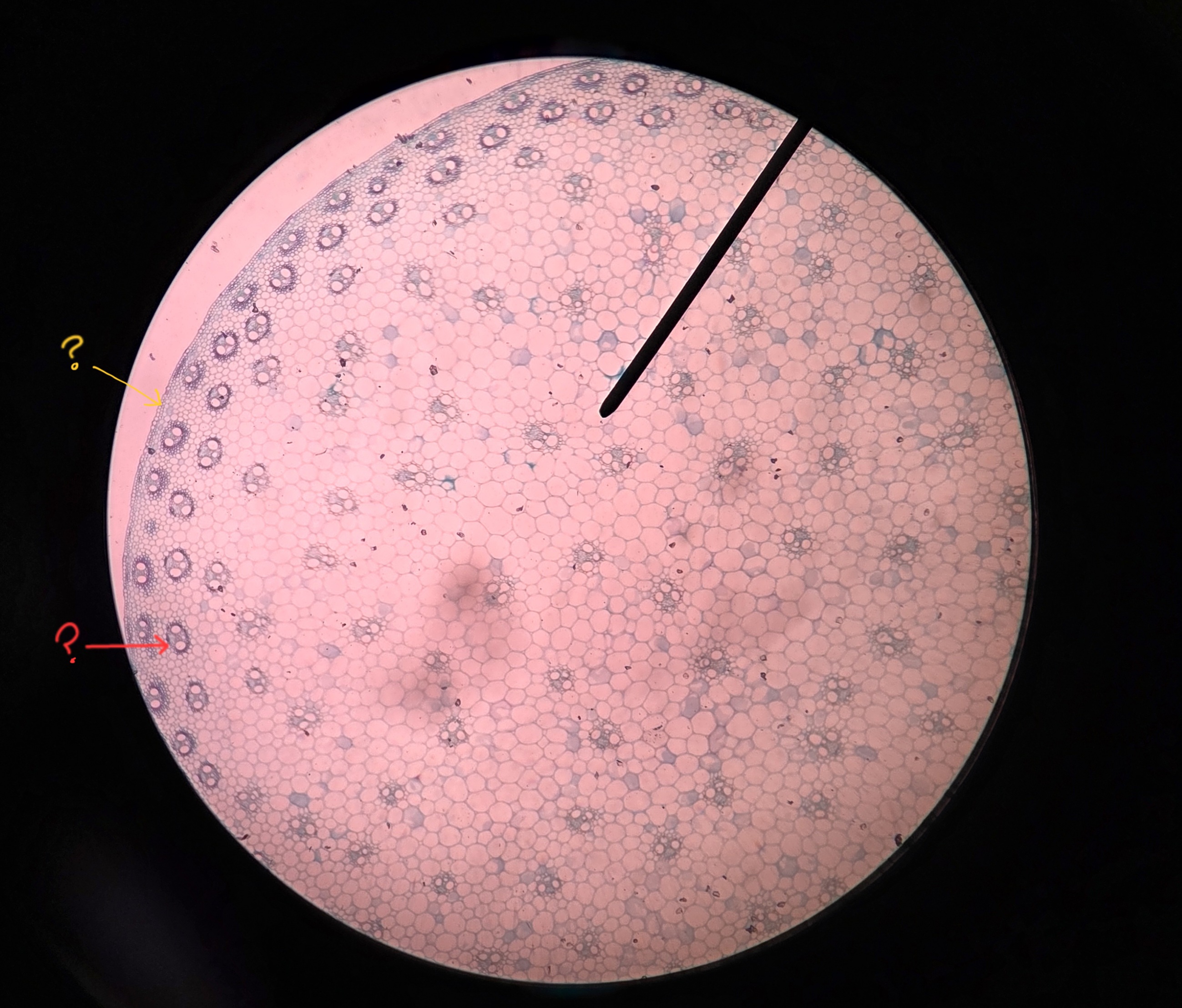 <p>What is being shown?</p>