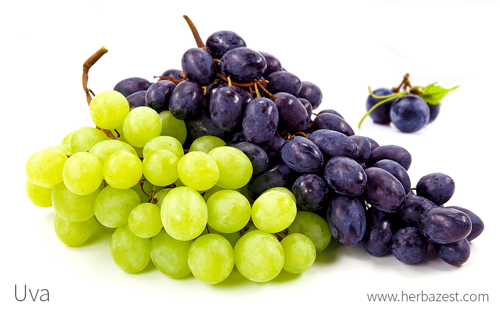 <p>Las uvas</p>