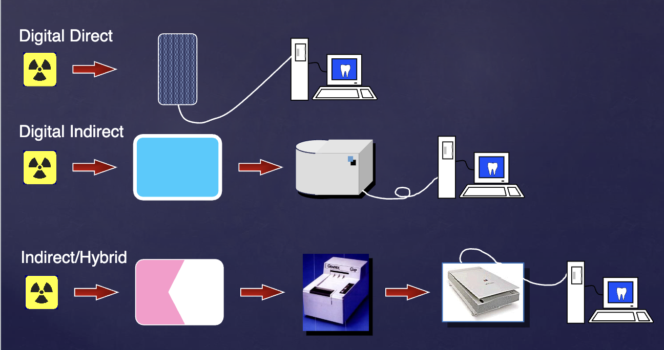 <ol><li><p>digital direct</p></li><li><p>digital indirect</p></li><li><p>indirect/hybrid</p></li></ol><p></p>