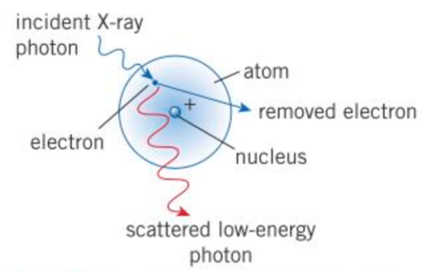 <p>- for X-rays with energy range 0.5-5.0 MeV</p><p>- incoming photon interacts with an electron, causing the complete ejection of an electron from the atom</p><p>- the photon is scattered with reduced energy</p><p>- both energy and momentum is conserved</p>