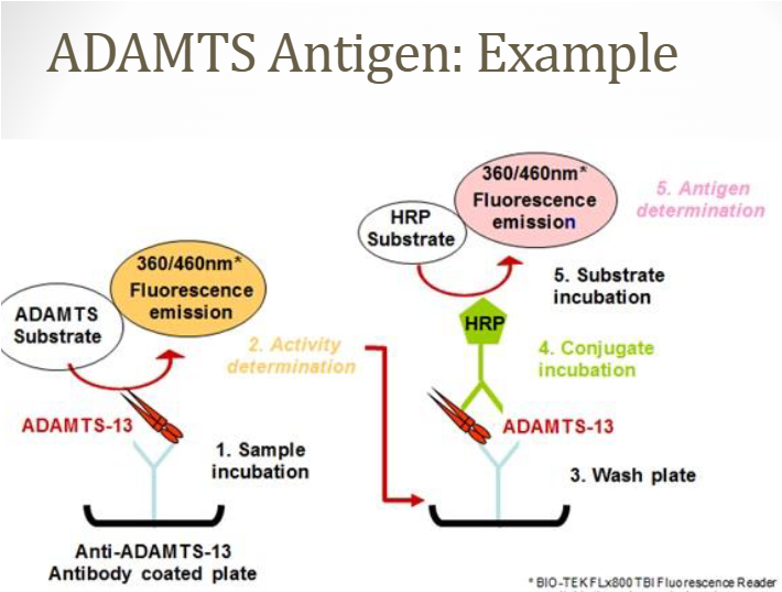 <ul><li><p>VWF cleaving protease</p><ul><li><p>Methodologies</p><ul><li><p>ELISA, fluorescence resonance energy transfer (FRET), and other direct or indirect assays available</p></li><li><p>Measure ADAMTS-13 activity, antigen, or autoantibody levels</p></li><li><p>Use citrated PPP (platelet poor plasma – blue top)</p></li></ul></li></ul></li></ul><p></p>