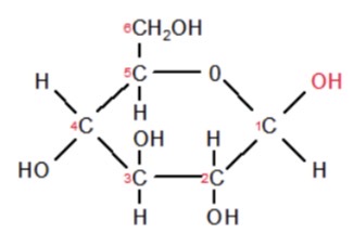 <ul><li><p>alcohol on C#1 will be UP</p></li></ul>